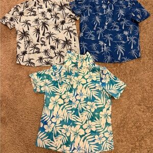SHEIN Kids Tropical Print Shirt Trio - Black, Blue, and Green